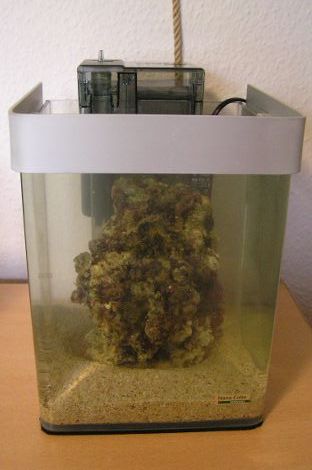 Nano Cube